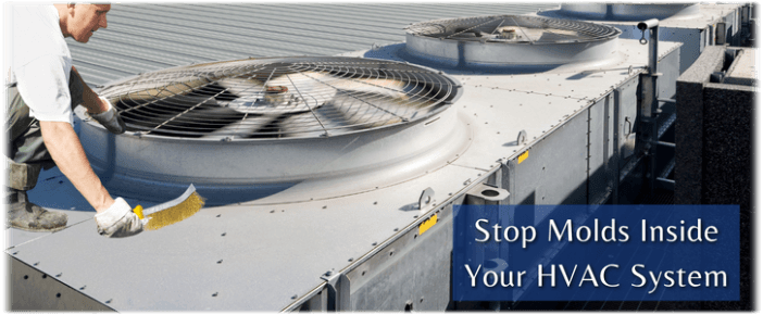 HVAC Mold Removal Worcester MA
